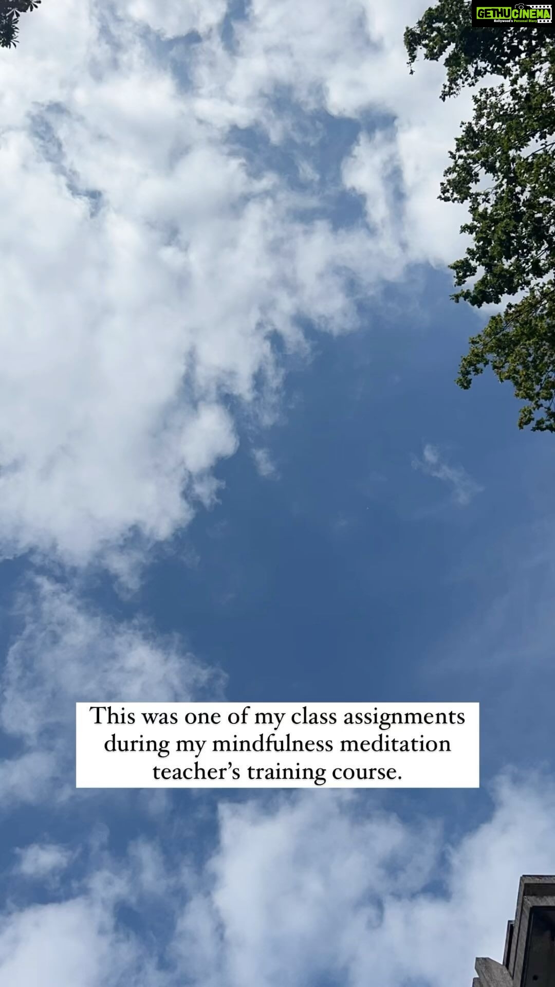 Shruti Seth Instagram - One of my class assignments during my mindfulness meditation teacher’s training. Simple acts of joy. #naturelover #mindfulness #teacherstraining #meditation #thehumanexperience #oxford #stjohnscollegeoxford #shruphotodiary St John's College, Oxford