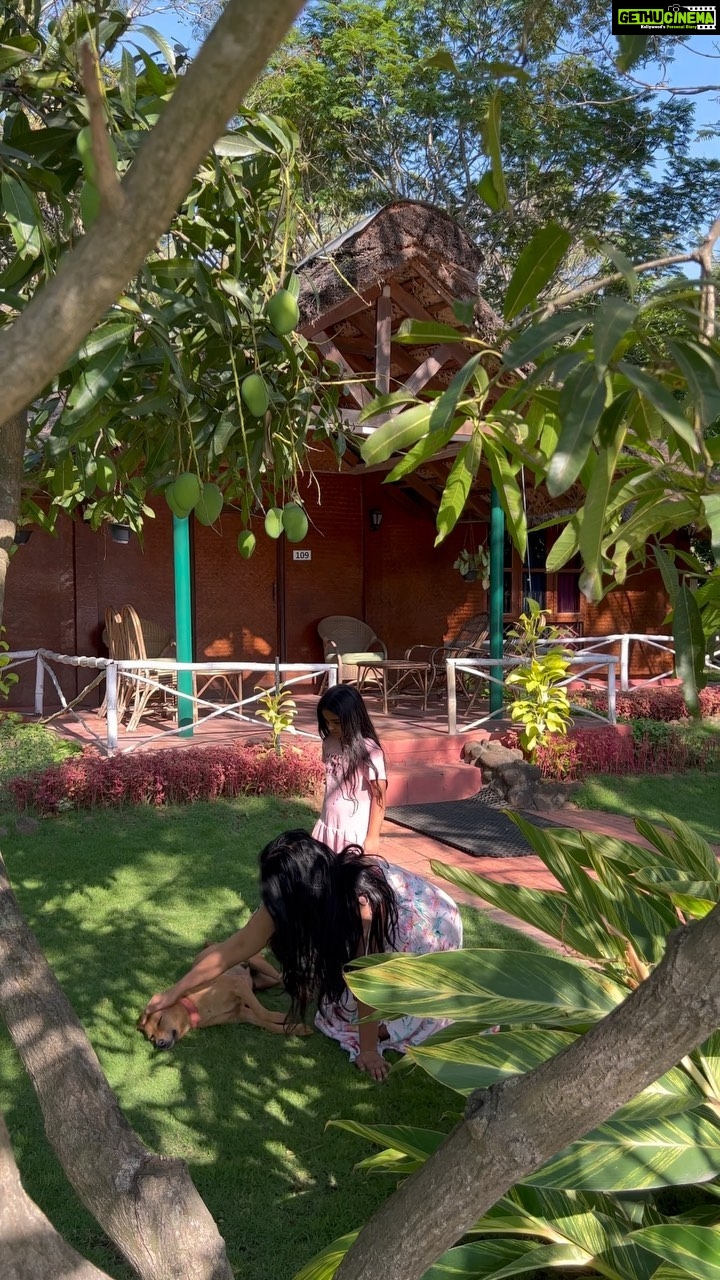 Shwetha Srivatsav Instagram - KINDNESS, COMPASSION, LOVING UNCONDITIONALLY is what GOD is all about for us !! #favsong #animallovers #naturelovers #bekindalways #humankind #drrajkumar #fan