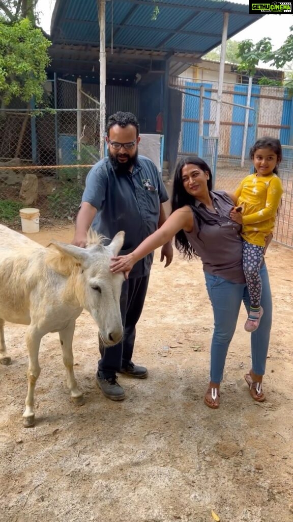 Shwetha Srivatsav Instagram - As we embark on another new year, wanted to begin with this note to spread awareness & encourage among people regarding the rights of animals to live in peace, health and dignity in the same manner as human beings. I strongly believe and vouch in equal respect to all, including animals and environment. Samabhava is a Non-Government and Non-Profit Organisation and works for protection, well-being and welfare of animals. I would like to thank Samabhava & team for giving me the opportunity to spend valuable time from a very long period at their care center and heartily thank them for doing such a great deed relentless and for their altruistic act! For all queries related to Working Animal Welfare/contributions, you can connect - Managing Trustee, Sandesh Raju, at sandesh@samabhava.org or call + 91 944 955 9767. Lets begin this new year in indulging in many more such a great cause and do our bit to society. 🙏 #happynewyear #happy2023 #shwethasrivatsav #karnatakasyndicatefoundation #rescued #animalshelter #donate #charity #horse #animallovers #trueheroes #gooddeeds #newyear #beginning #instagood #instagram #instalove @ashmitha.srivatsav @amith.srivatsav