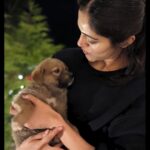 Simran Choudhary Instagram - Never met a doggo I did not want to pet (read squish) 🥹🐶🤍 . . . #mountaindog #mountaindogs #doggos #doggolove #cynophile #pawsome #indiedogs #indiedogsofinstagram #dogsofinstagram #puppy #puppylove #puppies