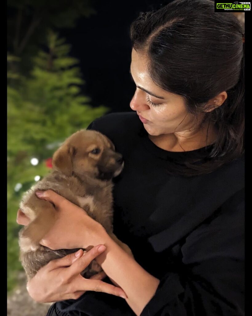 Simran Choudhary Instagram - Never met a doggo I did not want to pet (read squish) 🥹🐶🤍 . . . #mountaindog #mountaindogs #doggos #doggolove #cynophile #pawsome #indiedogs #indiedogsofinstagram #dogsofinstagram #puppy #puppylove #puppies