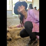 Simran Choudhary Instagram - Never met a doggo I did not want to pet (read squish) 🥹🐶🤍 . . . #mountaindog #mountaindogs #doggos #doggolove #cynophile #pawsome #indiedogs #indiedogsofinstagram #dogsofinstagram #puppy #puppylove #puppies