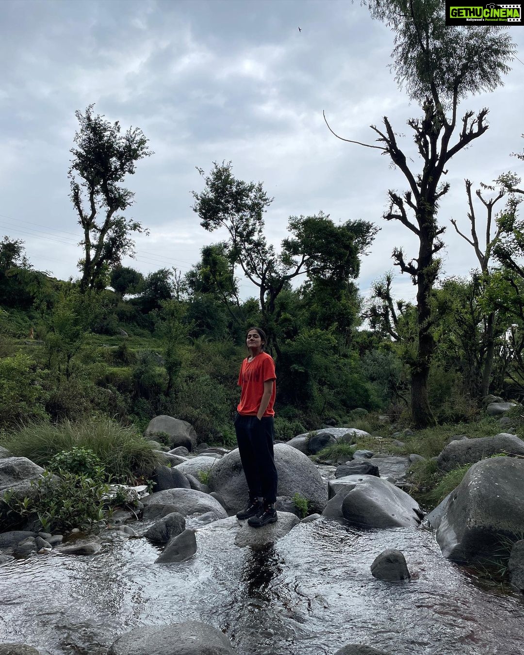 Simran Choudhary Instagram - Happyy world environment day 💚