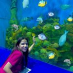 Sneha Bhawsar Instagram – 🌊 Mesmerized by the underwater world ! 🐠✨ #AquaticWonders 
Guess where I found it ???
Underwater beauty without going underwater ❤️

Shot by @ishant_bhawsar 

 #travelinspiration #wanderlust #exploretheworld #naturelovers #underwaterview #adventureawaits #traveldiaries #beautifuldestinations #fishyfriends #travelgoals #instatravel #discoverearth #hiddengems #oceanlife #bucketlistadventures
