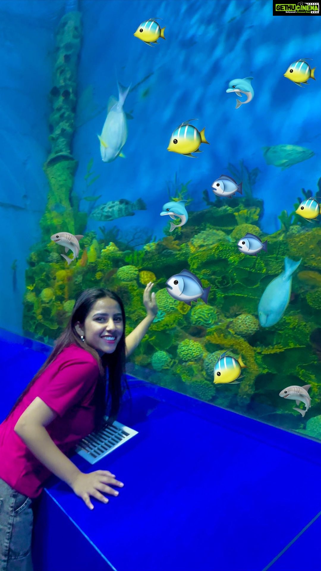 Sneha Bhawsar Instagram - 🌊 Mesmerized by the underwater world ! 🐠✨ #AquaticWonders Guess where I found it ??? Underwater beauty without going underwater ❤️ Shot by @ishant_bhawsar #travelinspiration #wanderlust #exploretheworld #naturelovers #underwaterview #adventureawaits #traveldiaries #beautifuldestinations #fishyfriends #travelgoals #instatravel #discoverearth #hiddengems #oceanlife #bucketlistadventures