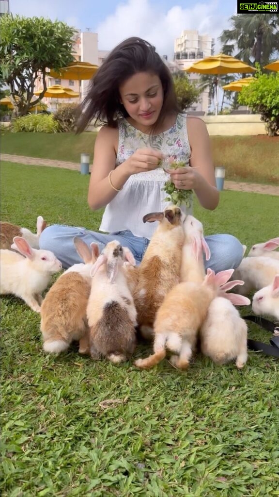Sneha Ullal Instagram - 🌱🐇 While I shower these rabbits with affection, my heart aches for the countless other rabbits & other animals subjected to inhumane treatment—be it cruel cosmetic testing or the rabbit meat industry 💔 .Being a devoted vegan, I find SOLACE in moments like these, cherishing life in its gentlest forms. Let’s reflect on our choices and stand against cruelty, together.#snehaullal #crueltyfree #crueltyfreecosmetics #compassion #rabbitsofinstagram #besoft #vegan Taj Lands End, Mumbai