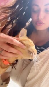Sneha Ullal Instagram - Applauding the  landmark decision by the Indian Supreme Court, reaffirming citizen’s right and duty to provide sustenance to our street animals.As the animals only rely on the kindness of caring individuals and the scraps of eateries,withholding this essential care can only result in suffering & illness.Nurturing these animals, cultivates a profound connection between humans and our fellow creatures.This ruling stands as a beacon,empowering countless feeders nationwide to make a difference.IN SHORT-YOUR BUILDING MEMBERS CANNOT STOP OR HARASS YOU FROM FEEDING STRAY ANIMALS.NO ONE CAN,OR SHOULD.
#snehaullal #animalfeeding #animalrights #indiananimals #feedforchange #bekind #loveall