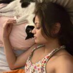 Sneha Ullal Instagram - Picket & I are Zzz 🐱 💤 #snehaullal #catsofinstagram Mumbai, Maharashtra