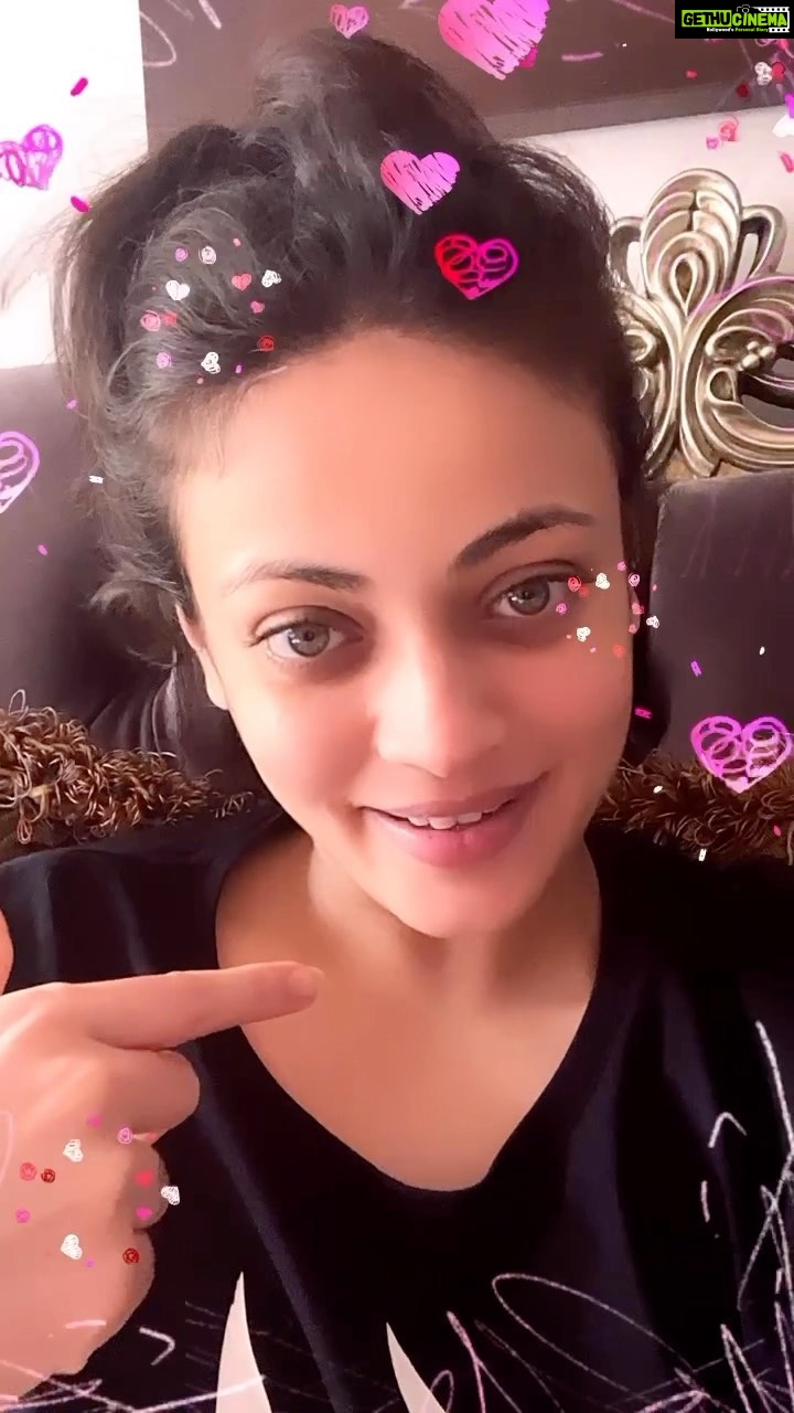 Sneha Ullal Instagram - 🏡 🐱#snehaullal #home #catsofinstagram #cats #mybabies #homewithcats #animallovers Mumbai, Maharashtra