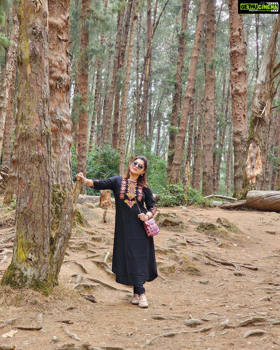 Sneha Wagh Instagram - Slide left to watch me…..Taking a walk in the forest 💝 . . . . . #travel #india #forest #pinetrees #nature #naturelover #sarangesneha #ssnehawagh #snehawagh #incredibleindia #indiatourism #india #wanderlust