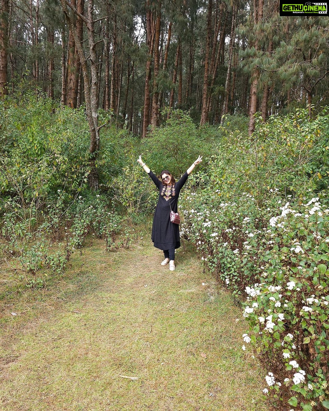 Sneha Wagh Instagram - Slide left to watch me…..Taking a walk in the forest 💝 . . . . . #travel #india #forest #pinetrees #nature #naturelover #sarangesneha #ssnehawagh #snehawagh #incredibleindia #indiatourism #india #wanderlust