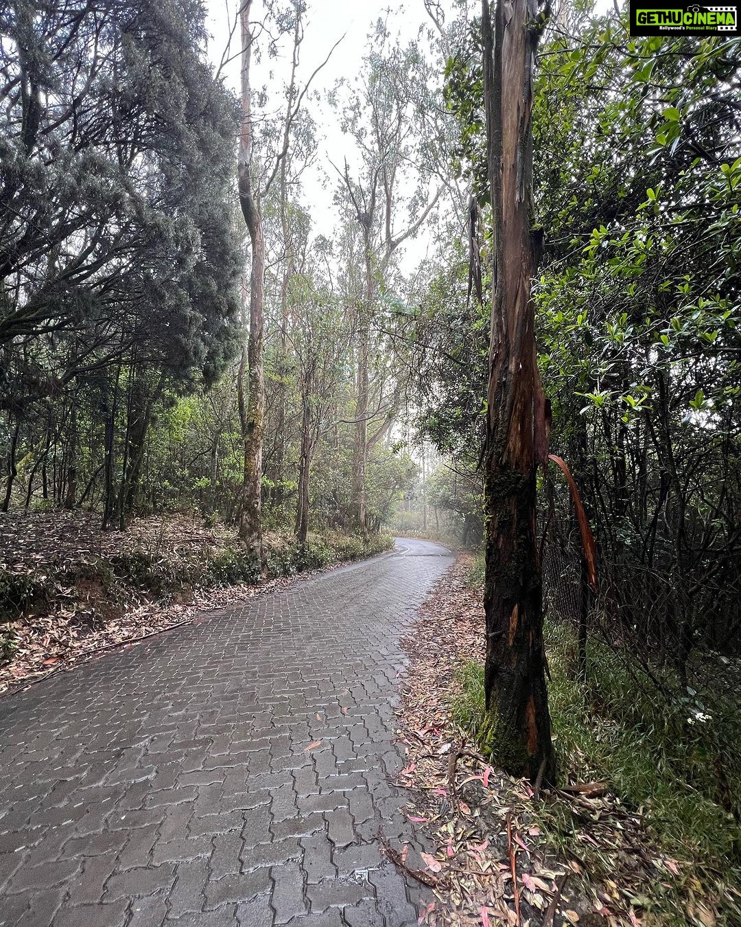 Sneha Wagh Instagram - Slide left to watch me…..Taking a walk in the forest 💝 . . . . . #travel #india #forest #pinetrees #nature #naturelover #sarangesneha #ssnehawagh #snehawagh #incredibleindia #indiatourism #india #wanderlust