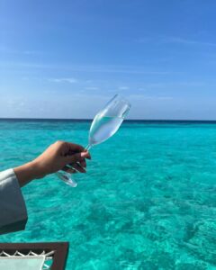 Sonal Chauhan Instagram - A happy reminder to stay hydrated 💦🩵
.
.
.
.
.
.
.
.
.
.
.
.
.
.
.
.
.
.
.
.
.
.
.
.
.
.
.
.
📸 @himanichauhan 
@wmaldives 
#love #sonalchauhan #wmaldives #water #hydration #happy #ocean #beach
