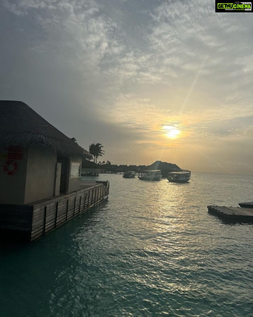 Sonal Chauhan Instagram - 🐳 . . . . . . . . . . . . . . . . . . . . . 📸 @himanichauhan #love #sonalchauhan #wmaldives #maldives #ocean W Maldives