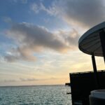 Sonal Chauhan Instagram – 🐳
.
.
.
.
.
.
.
.
.
.
.
.
.
.
.
.
.
.
.
.
.
📸 @himanichauhan 
#love #sonalchauhan #wmaldives #maldives #ocean W Maldives