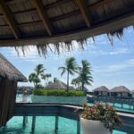 Sonal Chauhan Instagram – 🌊🦈 🌊 
.
.
.
.
.
.
.
.
.
.
.
.
.
.
.
.
.
.
.
.
.
📸 @himanichauhan 
#love #sonalchauhan #wmaldives #maldives #ocean #pool #possibilities #monday #horizon W Maldives