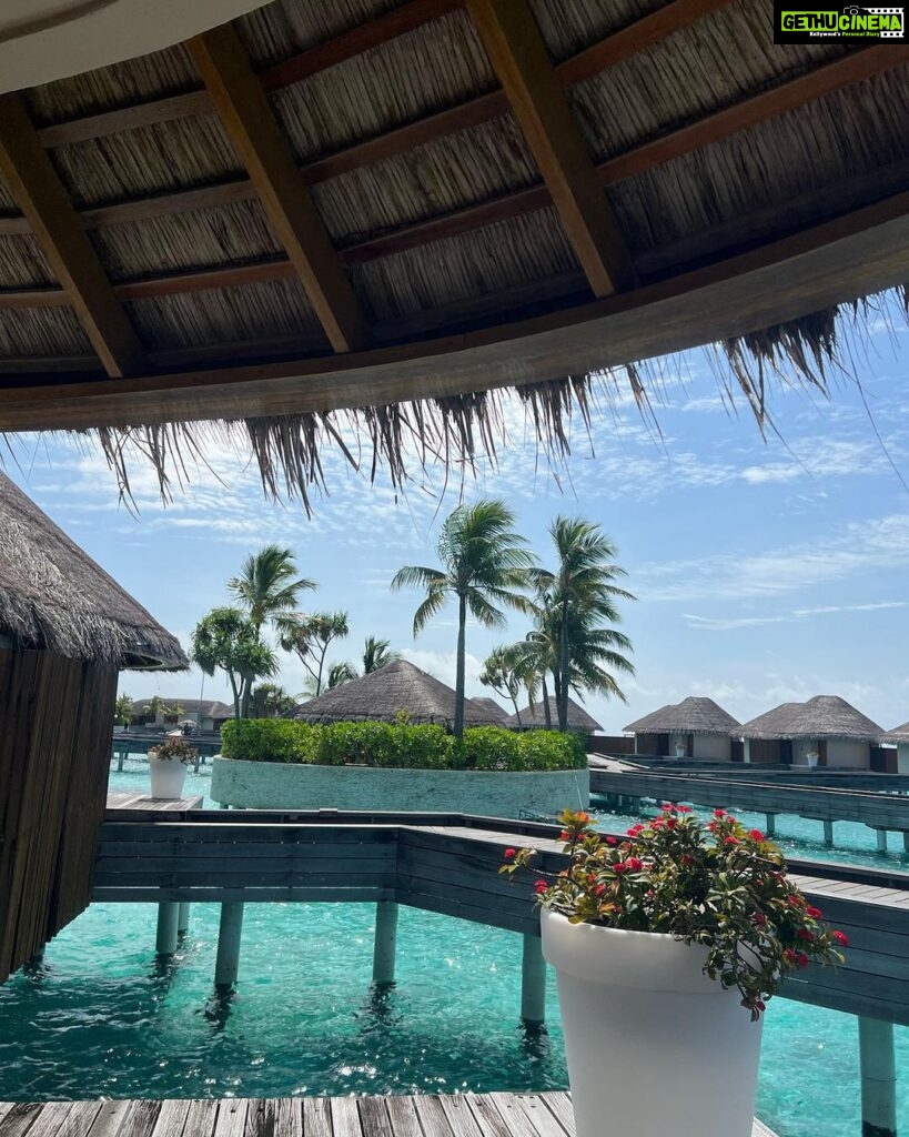 Sonal Chauhan Instagram - 🌊🦈 🌊 . . . . . . . . . . . . . . . . . . . . . 📸 @himanichauhan #love #sonalchauhan #wmaldives #maldives #ocean #pool #possibilities #monday #horizon W Maldives
