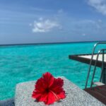 Sonal Chauhan Instagram - Walking in the beautiful Monday blue hues 🧜‍♀️🩵💦 . . . . . . . . . . . . . . . 📸 @himanichauhan #sonalchauhan #love #monday #mood #wmaldives #pool #beach #ocean #nomondayblues W Maldives