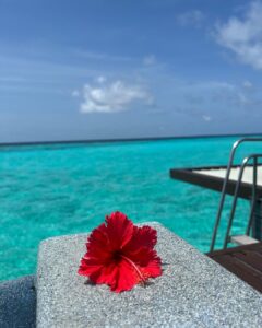 Sonal Chauhan Instagram - Walking in the beautiful Monday blue hues 🧜‍♀️🩵💦
.
.
.
.
.
.
.
.
.
.
.
.
.
.
.
📸 @himanichauhan 
#sonalchauhan #love #monday #mood #wmaldives #pool #beach #ocean #nomondayblues