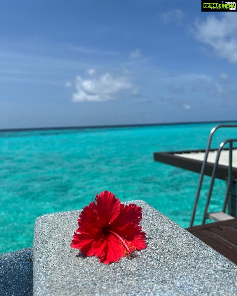 Sonal Chauhan Instagram - Walking in the beautiful Monday blue hues 🧜‍♀️🩵💦 . . . . . . . . . . . . . . . 📸 @himanichauhan #sonalchauhan #love #monday #mood #wmaldives #pool #beach #ocean #nomondayblues W Maldives