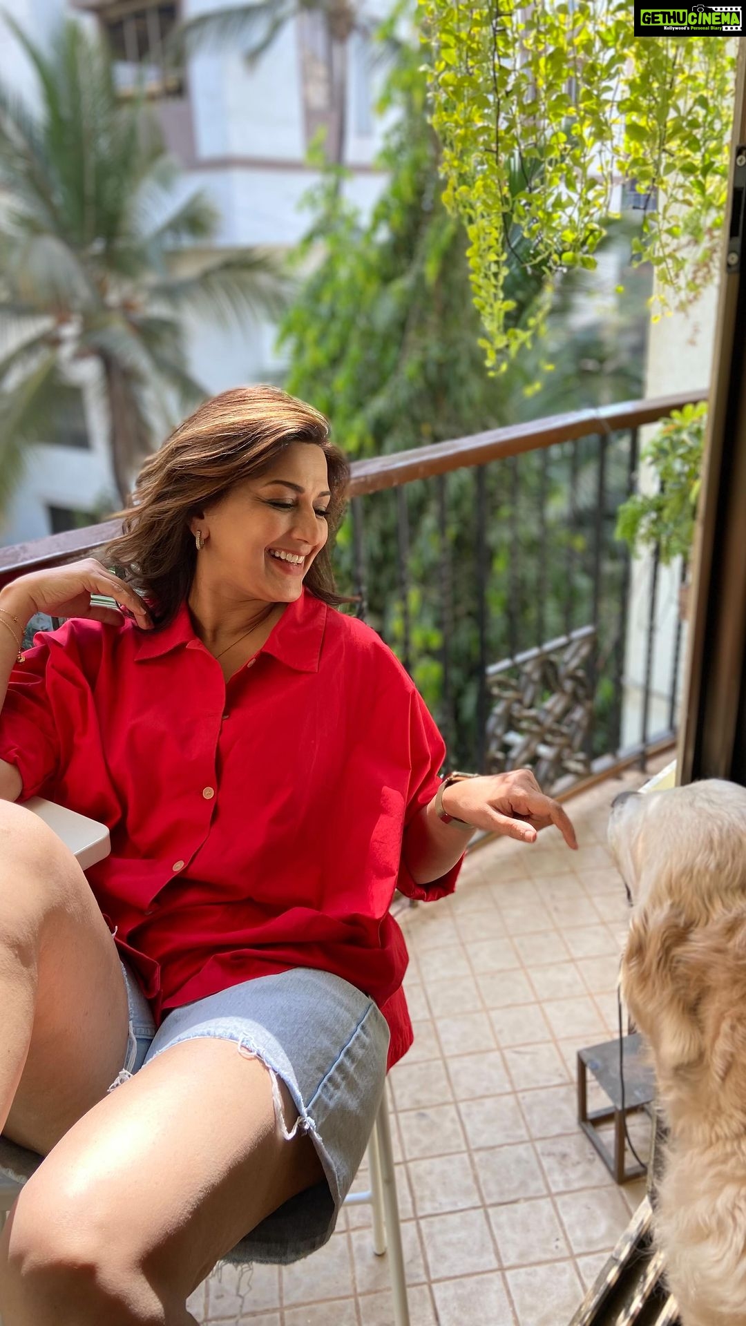 Sonali Bendre Instagram - My Fur-ever bliss 🐾♥️ #LittleMissIcy