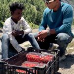 Sonu Sood Instagram – Anyone for Strawberries 🍓? 
बड़ा बिज़नेस है अपना 😜
#supportsmallbusiness
