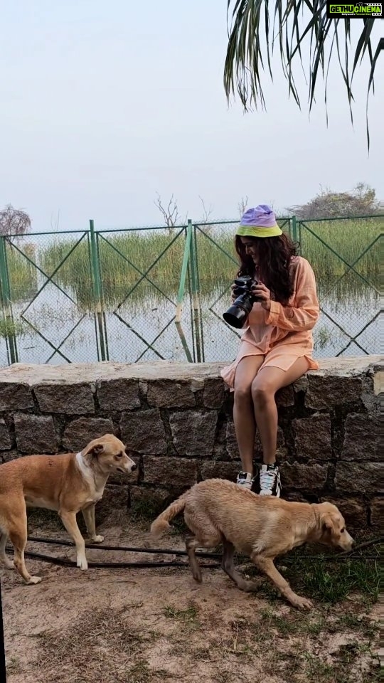 Sony Charishta Instagram - #^📸. . . . . . . . . @thelabyrinthlakefront#photooftheday #explorepage✨ #explorepage #viral #trending #dogsofinstagram #dog #puppy #sonycharishtafanc #photoshoot#bts #doglife #doglover #bestdog