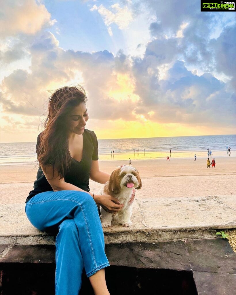 Sophie Choudry Instagram - Find someone who looks at you the way I look at her 😍🧿🐶 #mybaby #myjaan #purelove #dogmom #nofilterneeded #mumbai #sunsets #shihtzu #shihtzulovers #sophiechoudry Thank you for this incredible space for our babies Tanya. We love you❤️