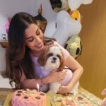 Sophie Choudry Instagram - Pink party for my princess!! Happy bday my Tia… You are our jaan, our world and we love you soooooo much!! May you be always be blessed with good health, your fave treats & trips to the mall😘😘💕💕🧿🧿🧿 Thank you Pooj for making her fave cake as always! @poojadhingra 💕💕 Also got foil balloons instead of single use plastic. Trying to do our bit💕💕 #mybabysbirthday #tiachoudry #dogmom #shihtzu #shihtzusofinstagram #bdaygirl #pinkparty #sophiechoudry