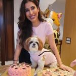 Sophie Choudry Instagram - Pink party for my princess!! Happy bday my Tia… You are our jaan, our world and we love you soooooo much!! May you be always be blessed with good health, your fave treats & trips to the mall😘😘💕💕🧿🧿🧿 Thank you Pooj for making her fave cake as always! @poojadhingra 💕💕 Also got foil balloons instead of single use plastic. Trying to do our bit💕💕 #mybabysbirthday #tiachoudry #dogmom #shihtzu #shihtzusofinstagram #bdaygirl #pinkparty #sophiechoudry