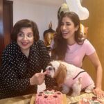 Sophie Choudry Instagram - Pink party for my princess!! Happy bday my Tia… You are our jaan, our world and we love you soooooo much!! May you be always be blessed with good health, your fave treats & trips to the mall😘😘💕💕🧿🧿🧿 Thank you Pooj for making her fave cake as always! @poojadhingra 💕💕 Also got foil balloons instead of single use plastic. Trying to do our bit💕💕 #mybabysbirthday #tiachoudry #dogmom #shihtzu #shihtzusofinstagram #bdaygirl #pinkparty #sophiechoudry