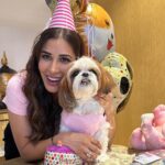 Sophie Choudry Instagram - Pink party for my princess!! Happy bday my Tia… You are our jaan, our world and we love you soooooo much!! May you be always be blessed with good health, your fave treats & trips to the mall😘😘💕💕🧿🧿🧿 Thank you Pooj for making her fave cake as always! @poojadhingra 💕💕 Also got foil balloons instead of single use plastic. Trying to do our bit💕💕 #mybabysbirthday #tiachoudry #dogmom #shihtzu #shihtzusofinstagram #bdaygirl #pinkparty #sophiechoudry