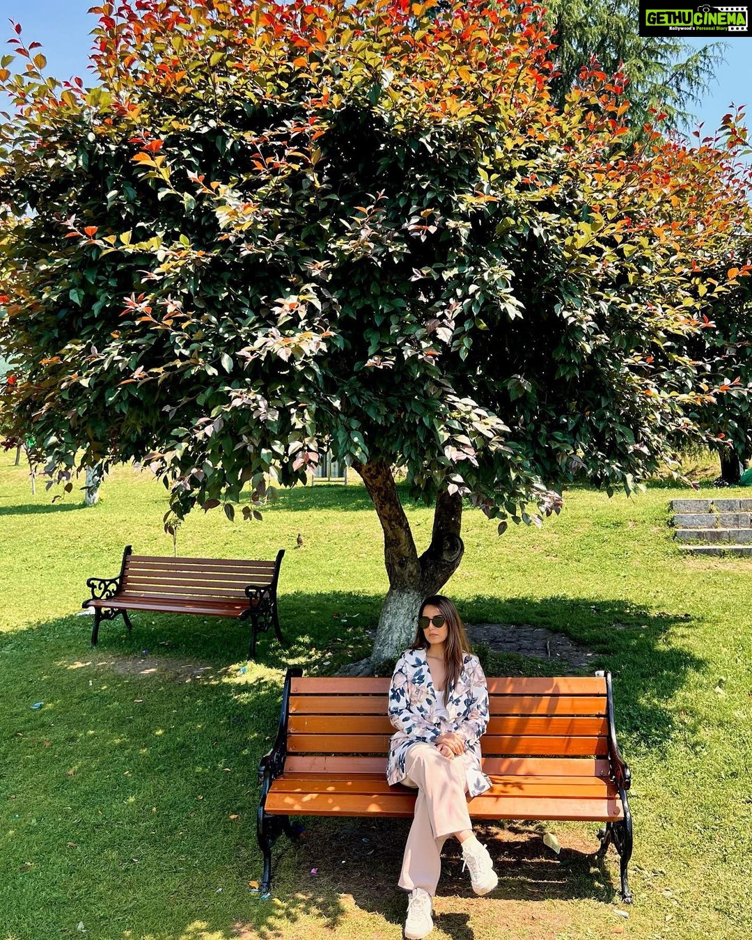 Srishty Rode Instagram - Finding solace beneath nature's embrace ❤️