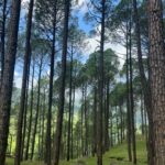 Sukirti Kandpal Instagram - Life lately . Full of real dopamine. Proud to have flowered from such beautiful roots ❤️🤌🤌 Uttrakhand- The state of heaven