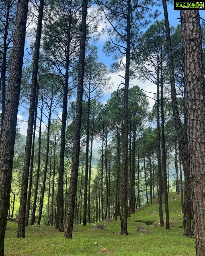 Sukirti Kandpal Instagram - Life lately . Full of real dopamine. Proud to have flowered from such beautiful roots ❤️🤌🤌 Uttrakhand- The state of heaven