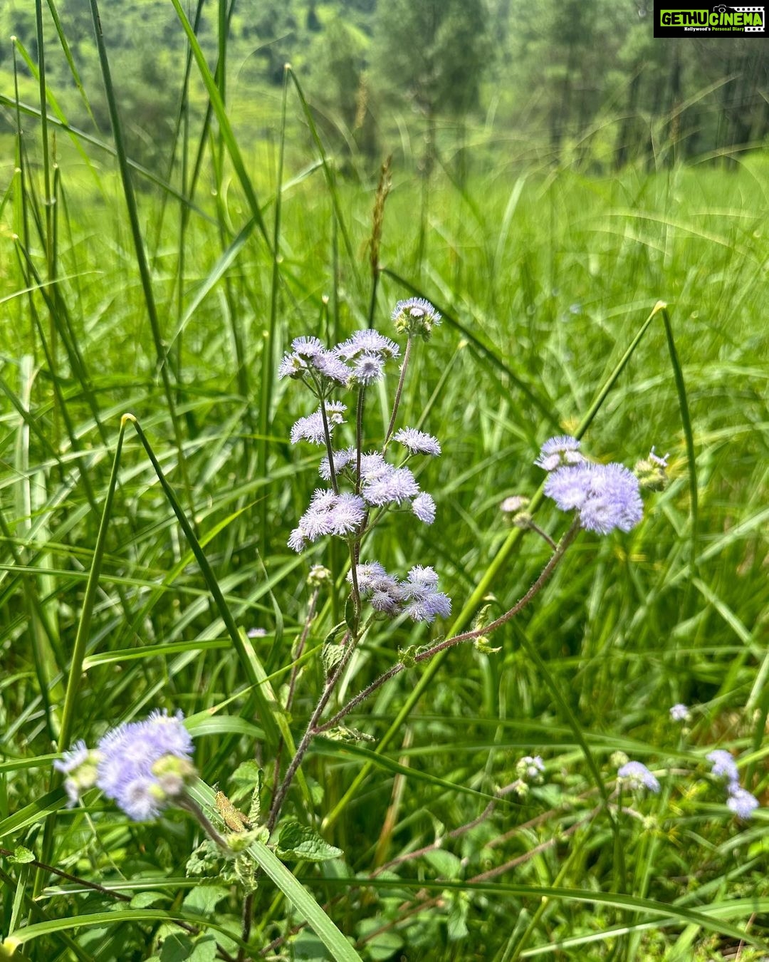 Sukirti Kandpal Instagram - Life lately . Full of real dopamine. Proud to have flowered from such beautiful roots ❤️🤌🤌 Uttrakhand- The state of heaven