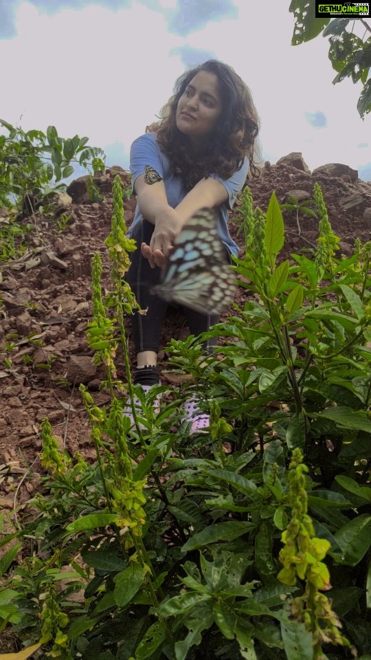 Sukrutha Wagle Instagram - When you just wanted to capture the clouds and then such sudden guest appearance by Butterflies ✨ 💞Some blissful moments gives us a realisation that we are blessed 💞 #sukruthawagle #sukrutha