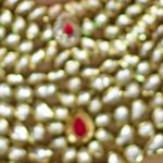 Sukrutha Wagle Instagram -