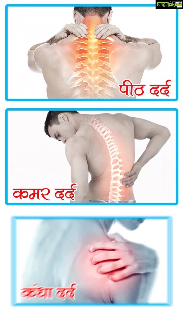 Surabhi Prabhu Instagram - Pain relief… AURTHO CARE KIT @mahalaxmi_ayurveda_ Aurtho Capsules & Balm helps in repairing affected joints through recovering them with the synovial fluid that gets lost with the growing age or injuries. It brings back the normal swiftness of the joints and enables you to function properly. Aurtho Capsules & Balm is a complete herbal formulation of powerful herbs that provides soothing action while massaged on painful body areas . Call For More Information/Consultant & Purchase This Products Our Health Expert: 8860-80-3838 Official Website Link for Purchase this product : https://mahalaxmiayurveda.com/?product=aurtho-care-60-capsules-2-balm-pain-relief-combo-pack-permanently-solution #sultannight #sultannightaurthokit #painrelief #backpain #wellness #health #pain #neckpain #massage #fitness #physicaltherapy #massagetherapy #chronicpain #painmanagement #healthylifestyle #physiotherapy #selfcare #surabhiprabhu #chiropractor #chiropractic #jointpain #healing #kneepain #stressrelief #painfree #arthritis #backpainrelief #lowbackpain #ayurveda #bodypain Mumbai, Maharashtra