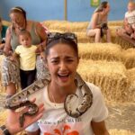 Surveen Chawla Instagram - Farm day with our new buddies 🐐🐴🦙🐇🐿️🐖 #farmanimals #farmday #goat #snakes #llama #tortoise #sheep #stickinsect #lizard Hounslow Urban Farm