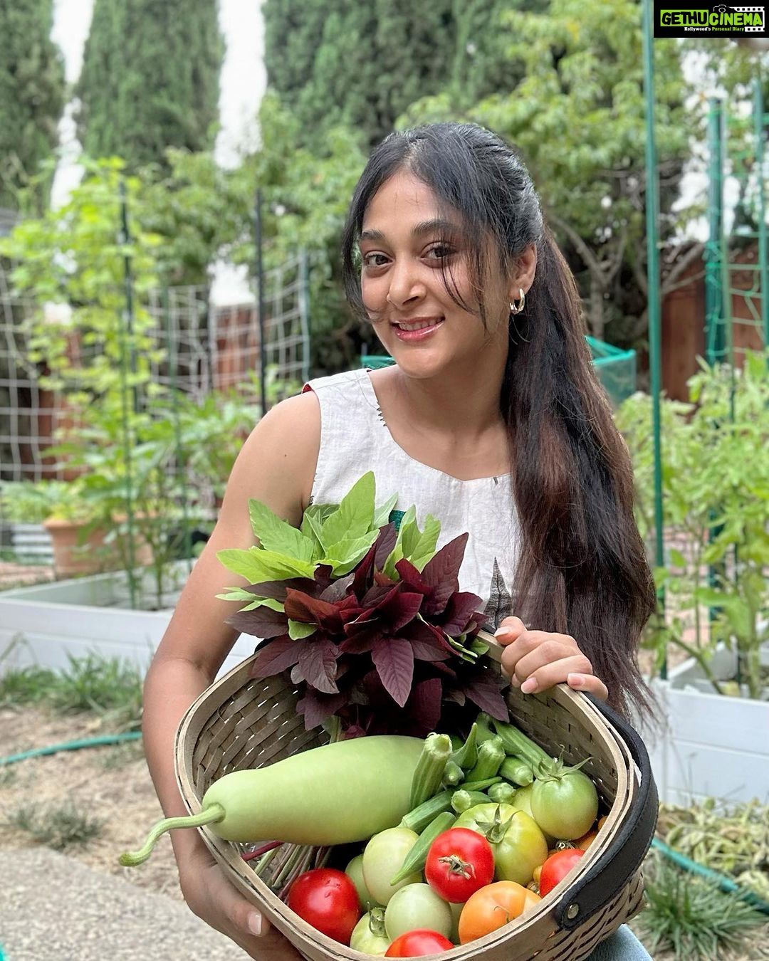Sushma Raj Instagram - Handpicked with love and care! #backyardgarden #harvest San Jose, California