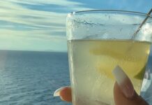 Sushma Raj Instagram - Day 1 living the cruise life! #cruising