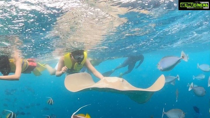 Sushmita Sen Instagram - #myuniverse πππ»πΆ Ah! these majestic creatures with soooooo much affection & acceptanceβ¦ I travel with my daughters at least once a year to Maldives, to snorkel & scuba diveβ¦to experience the magical peace & healing of the Indian Ocean!!πππ This time my father @sensubir made it super special by joining us!!ππ€πππ» Alisah braved a stingrayβs kissπ The Reef sharks confidently posed for our cameras ππAnd #yourstruly felt beyond privileged to be allowed real close access!!ππ€β€οΈ #sharing #cherished #memories for a lifetime!! πππ» @reneesen47 Enjoy the peace & the vibe!!!π I love you guys beyond!!! #happyweekend #duggadugga πππ»π