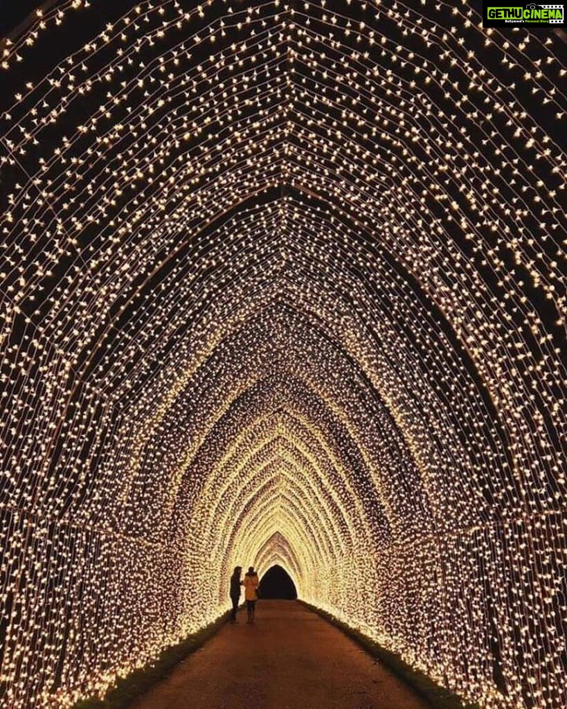 Sushmita Sen Instagram - They say, there’s light at the end of the tunnel...I say, why wait, let’s light up the tunnel!!!😉😀❤️💃🏻 #roadlesstravelled #faith #hope #ibelieve #lightitup 👏🌈🥰 I love you guys sooooooo much!!! #duggadugga 🤗