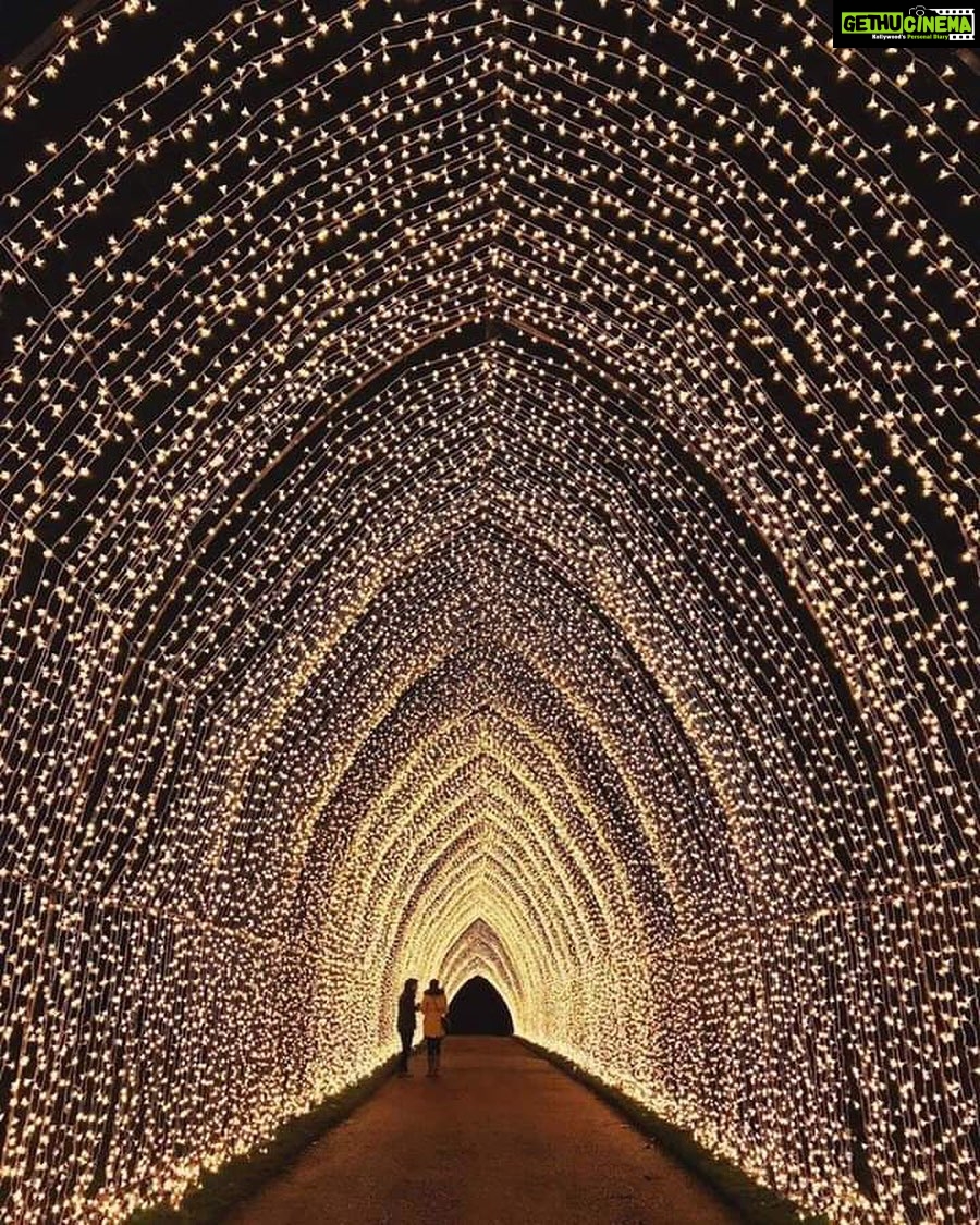 Sushmita Sen Instagram - They say, thereβs light at the end of the tunnel...I say, why wait, letβs light up the tunnel!!!ππβ€οΈππ» #roadlesstravelled #faith #hope #ibelieve #lightitup πππ₯° I love you guys sooooooo much!!! #duggadugga π€