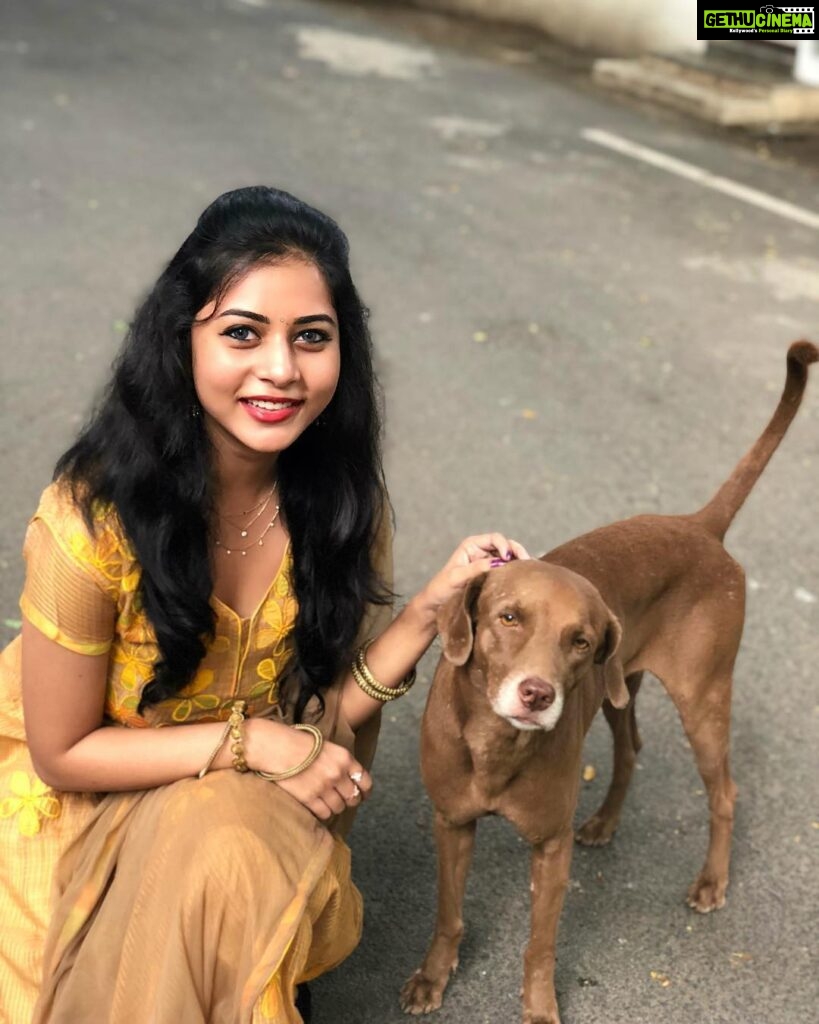 Suza Kumar Instagram - PURE LOVE ♥️ SWIPE ➡️ His name is brownie 🧡 my mom named it 😋 one of the sweetest street dog who I adore🐶my mom’s fav 😍.. One such happy overflowing love for me kinda day fr brownie 😂😘 . Seeing myself this happy after so long 🙈blushing coz of his love 🧚🏻‍♀️ . P.s -he is much better poser than vicky paiya 🤦🏼‍♀️😂 . #lovelife #lovefordogs #happysmile #littlethingsinlife #livelovelaugh 🧚🏻‍♀️✨💛