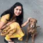 Suza Kumar Instagram - PURE LOVE ♥️ SWIPE ➡️ His name is brownie 🧡 my mom named it 😋 one of the sweetest street dog who I adore🐶my mom’s fav 😍.. One such happy overflowing love for me kinda day fr brownie 😂😘 . Seeing myself this happy after so long 🙈blushing coz of his love 🧚🏻‍♀️ . P.s -he is much better poser than vicky paiya 🤦🏼‍♀️😂 . #lovelife #lovefordogs #happysmile #littlethingsinlife #livelovelaugh 🧚🏻‍♀️✨💛