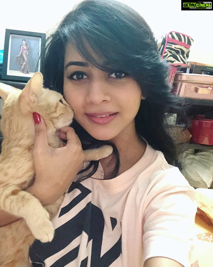Suza Kumar Instagram - Vicky and maya Baby I miss them so much ♥️ never been away from these both for this long 💔 (swipe Right ) . . These two are my major reason of my happiness and my smile. At times the days when I really wanted Sumone beside me ,these two been ther for me ♥️ (not joking )🙃 . u don’t need words to console Sumone .u just need Sumone right ther in presence who is ther for u rather than just in words .words matter nothing than a simple silence being beside u holding when u need them 🧡 🤗 . Not at all joking these two are my major life changing therapy I ever had ☺️✨ If I ever did something Gud for myself, is having them both fighting my mom 🙈 (now eventually my mom priority is vicky more than me ) 🤦🏼‍♀️🤷🏼‍♀️ . Just can’t wait to go back home and fight with them crazy and those hugs 🤗 ⛄️🧡that heals me whatever I’m going through 🧚🏼‍♀️✨ . #myhappiness #petsarefamily #truelove #myblessing #littlethingsinlife #lifeisbeautiful #livelovelaugh ✨♥️🧚🏼‍♀️☺️