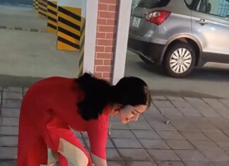 Suza Kumar Instagram - Thought to post this self damaging video of mine throw back to last Deepavali 💥🐣🙈 Some memories will remain spl no matter what ♥️ i love flower pots among all other fire crackers considering bit safe 😂 I’m not too afraid for it but u guys got to knw that the previous one bursted out so got too scared in this ! That’s the effect in this video 🐒 Naan konjam dhariyamana ponnu moment 😂🥲🤦🏼‍♀️😆😝 Just a video for u all from my side to laugh a bit 🥰 . Hope u all have a safe happy Deepavali ♥️ 🪔 ✨ . #deepavali #festivalvibes #festivaloflights #hope #littlethings #throwback #happiness #happydiwali #onelifeliveit ✨💋😌