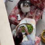 Swagatha S Krishnan Instagram - Abi giving me the look demanding appreciation for being well behaved 🤷🏼‍♀️ #abinandhan #shithzu #doglife #rishikesh
